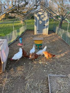 Masseria Tofani Brindisi Event Location Holiday Camp for children Brindisi