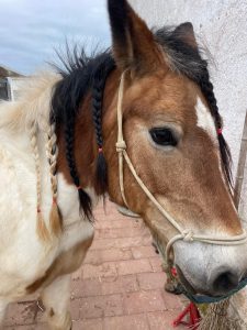 Masseria Tofani Brindisi Event Location Holiday Camp for children Brindisi