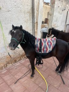 Masseria Tofani Brindisi Event Location Holiday Camp for children Brindisi